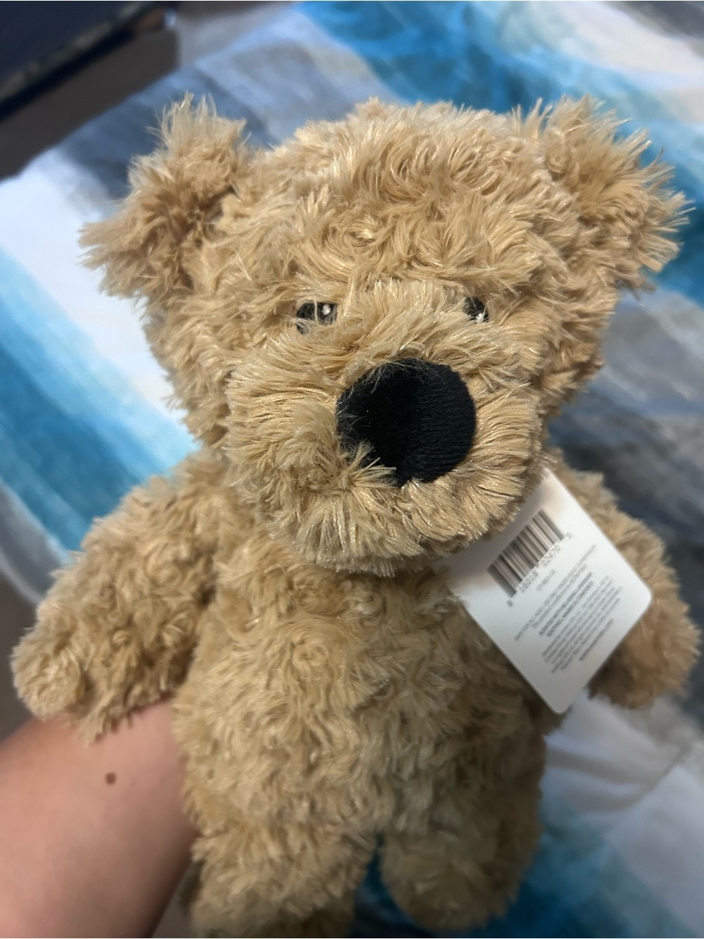 Brown Bear Warmies